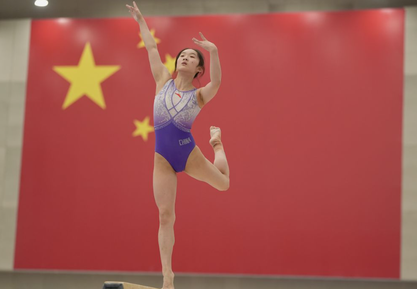 深入探讨韦德体育网的独特视角